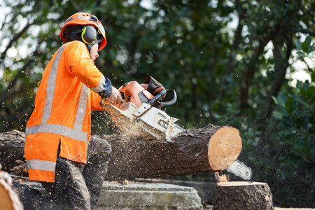 An apprentice saws through a log with a chainsaw.