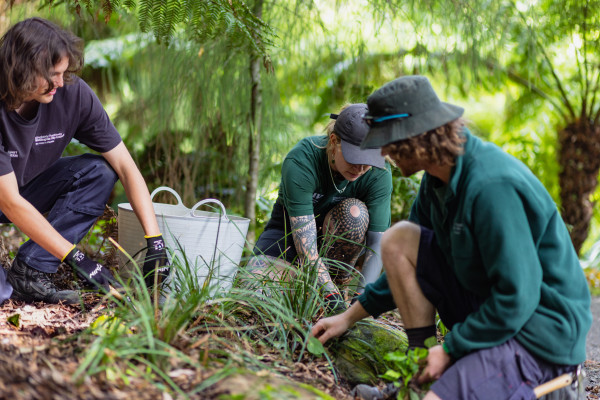 Apprentices hard at work maintaining park gardens