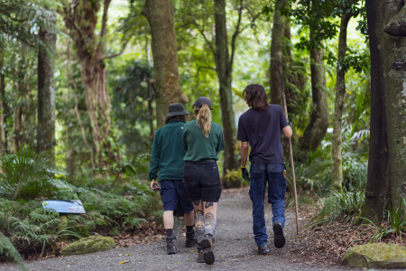 Horticulture Apprentices walking through a forested area