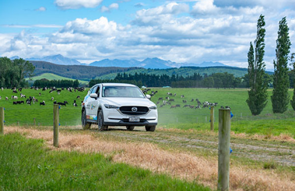 News Article photos Generic Ag Dairy 4 car